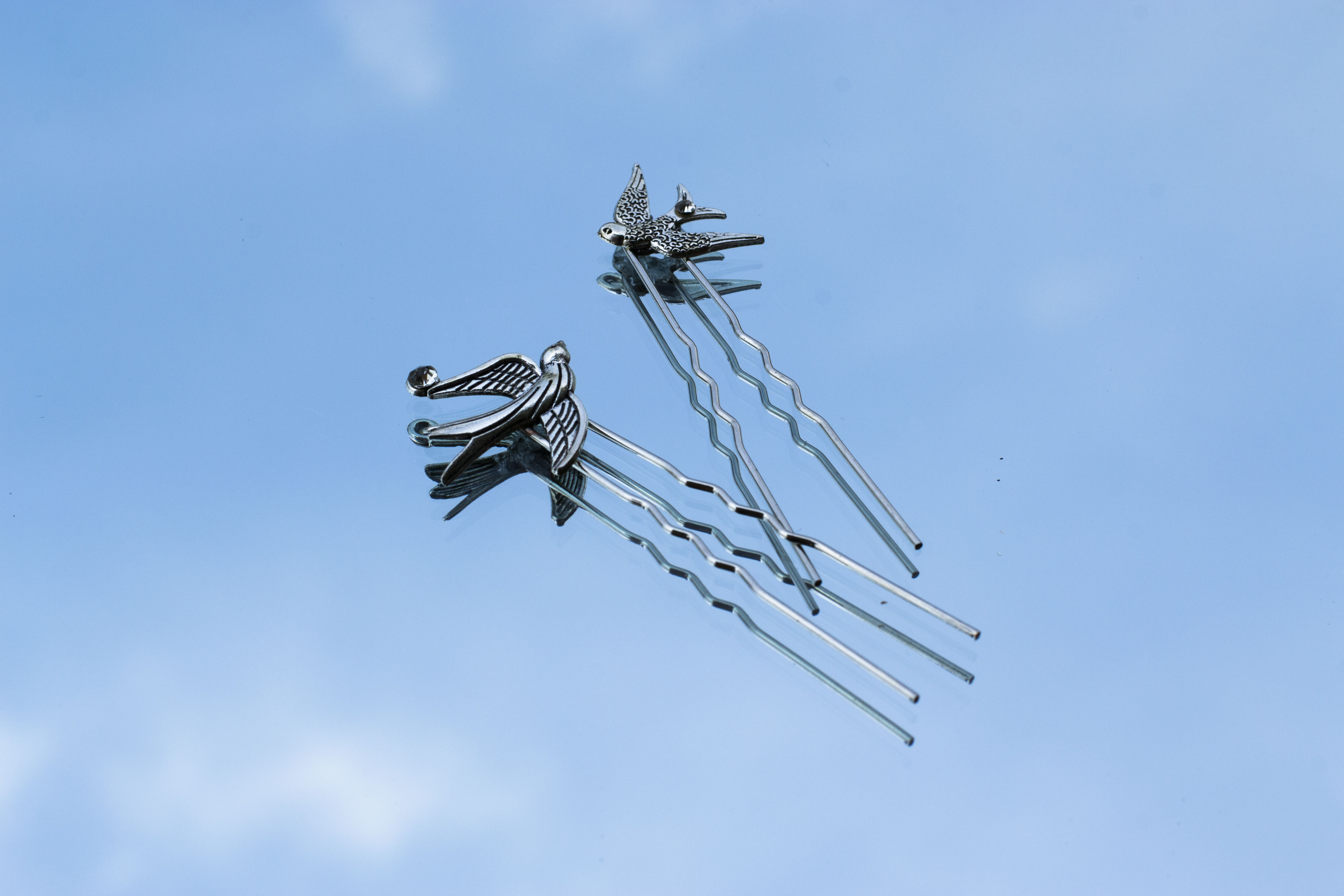 Pics à cheveux hirondelles, animaux, oiseaux