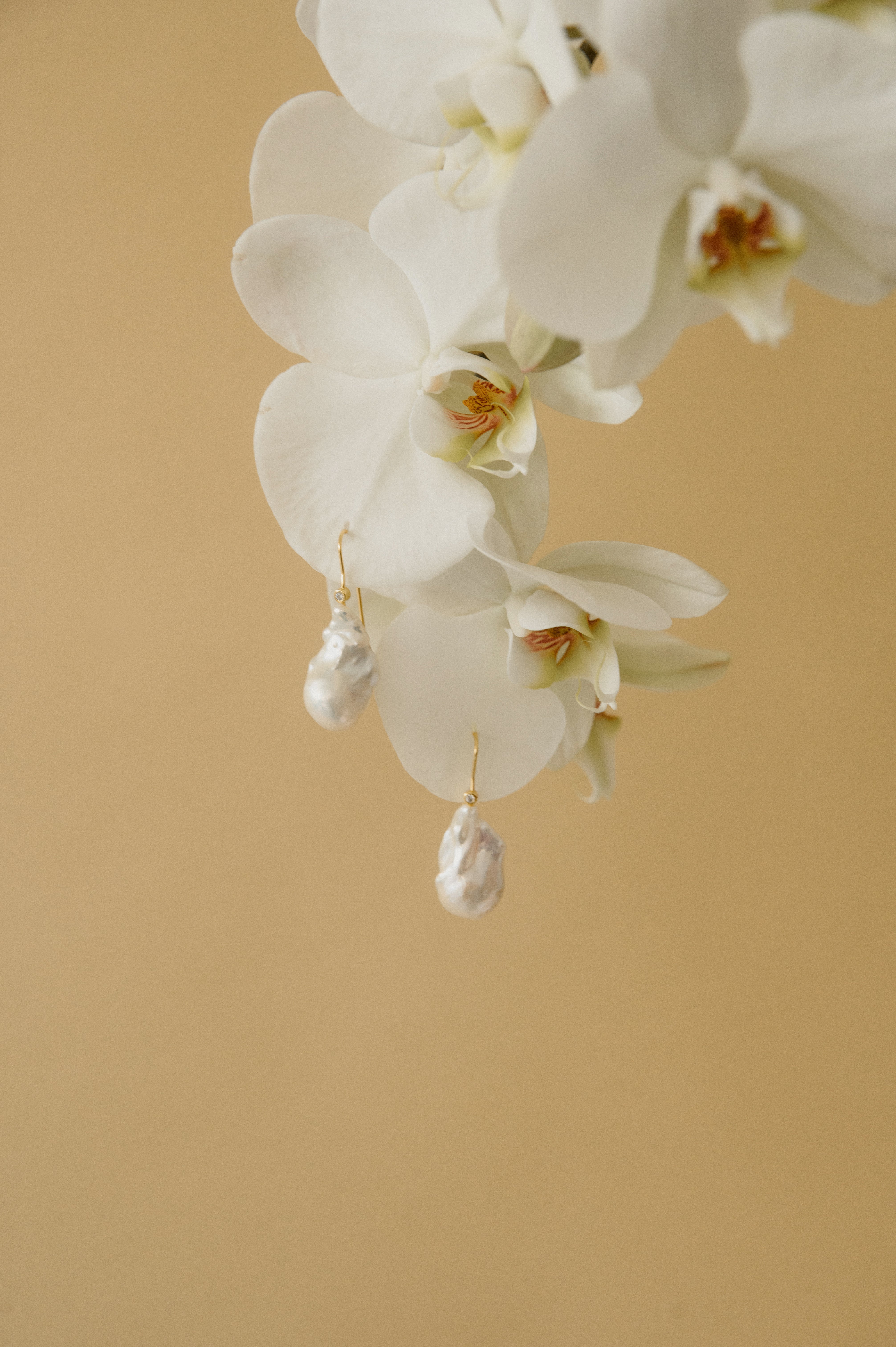 orchidée blanche sur un fond beige portant des boucles d'oreilles avec une perle naturelle baroque