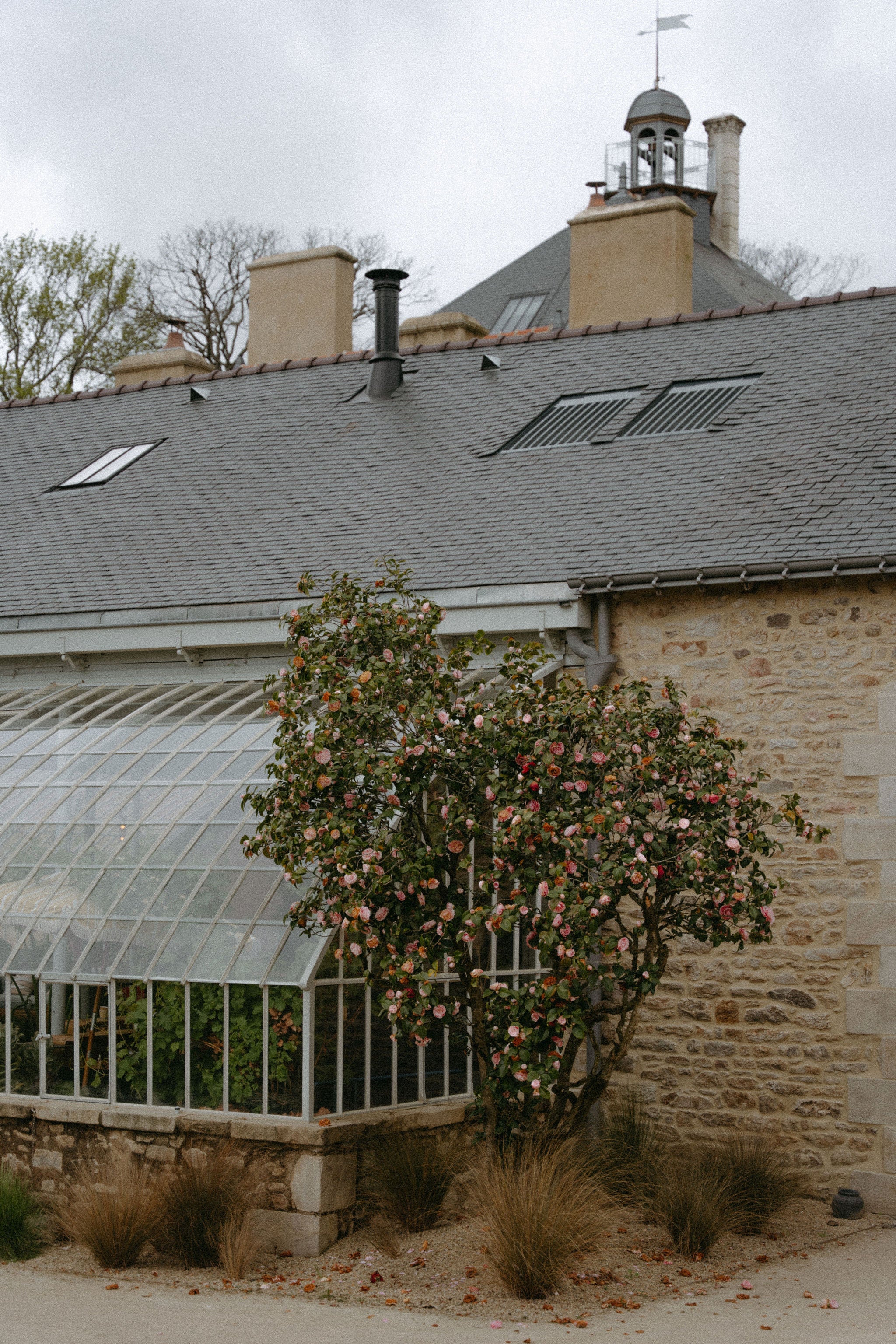 Photo esthétique château de l'extérieur, serre, plantes, fleurs roses, jardin de château, réception élégante mariage château 